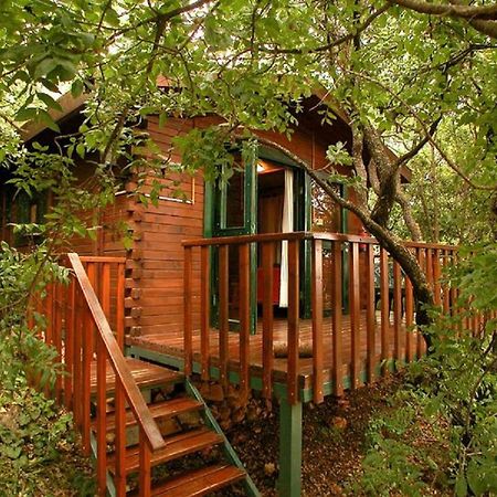 Eretz Hagalil - Land Of Galilee Guest House Amirim Exterior photo