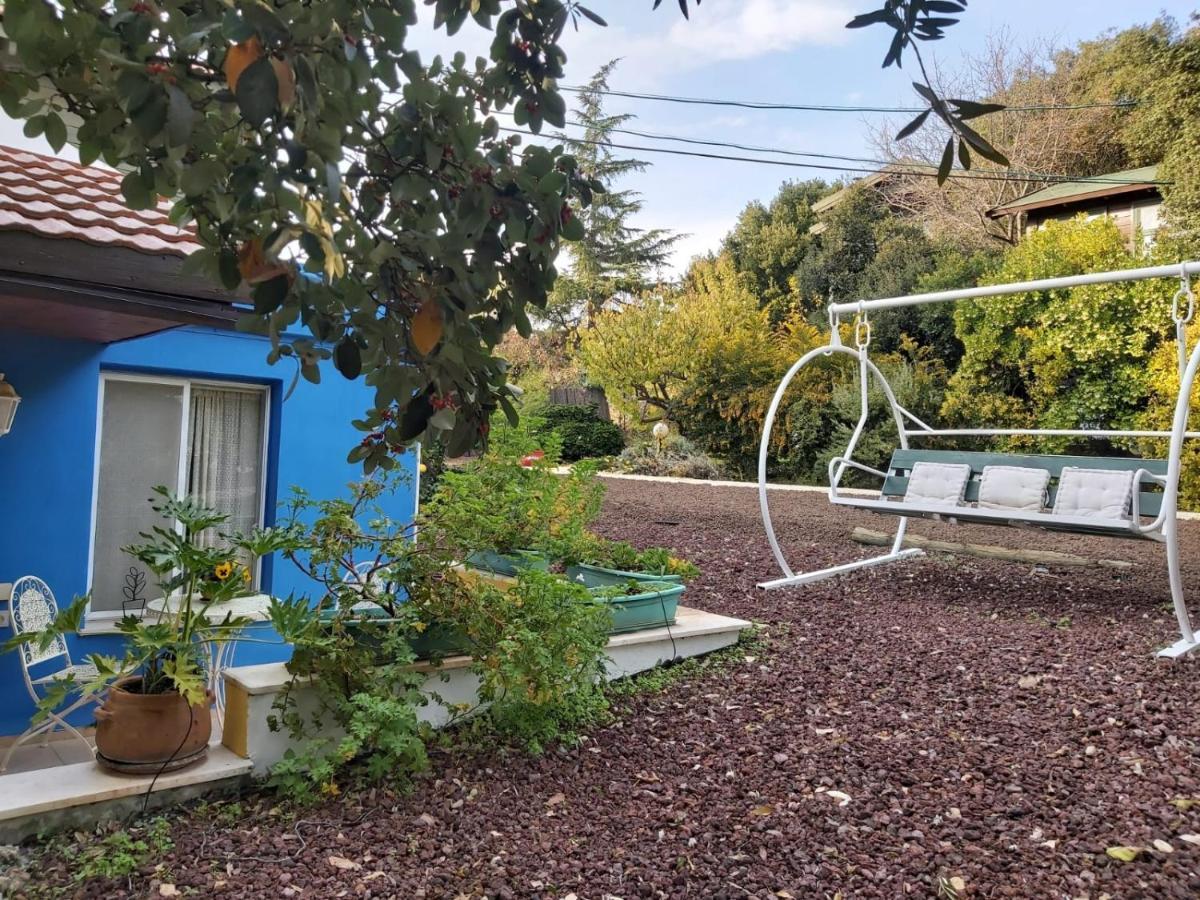 Eretz Hagalil - Land Of Galilee Guest House Amirim Exterior photo
