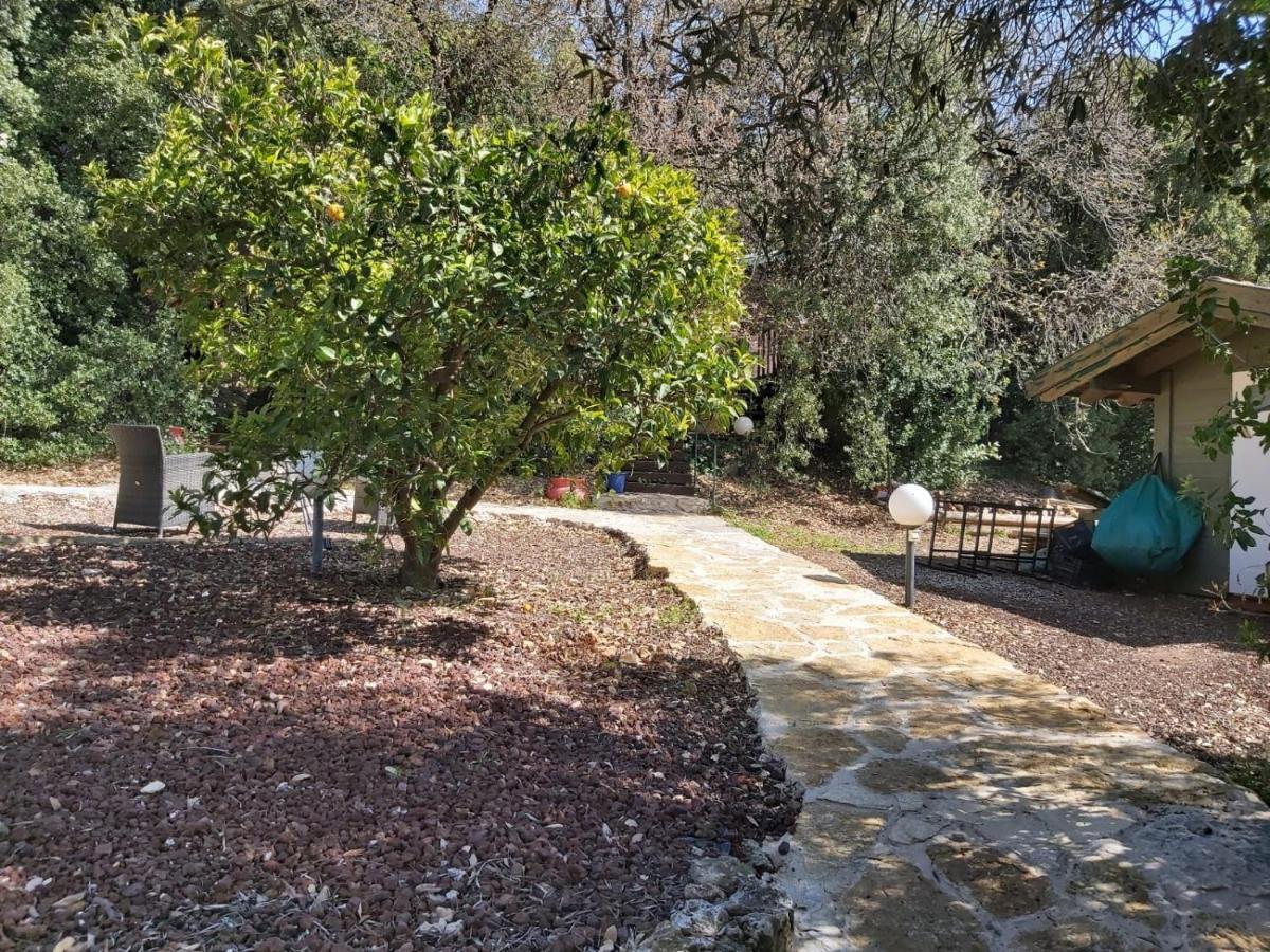 Eretz Hagalil - Land Of Galilee Guest House Amirim Exterior photo