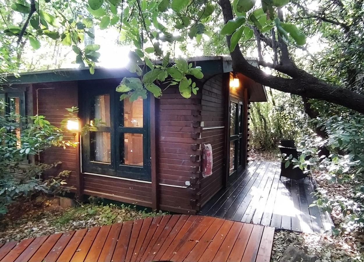Eretz Hagalil - Land Of Galilee Guest House Amirim Exterior photo