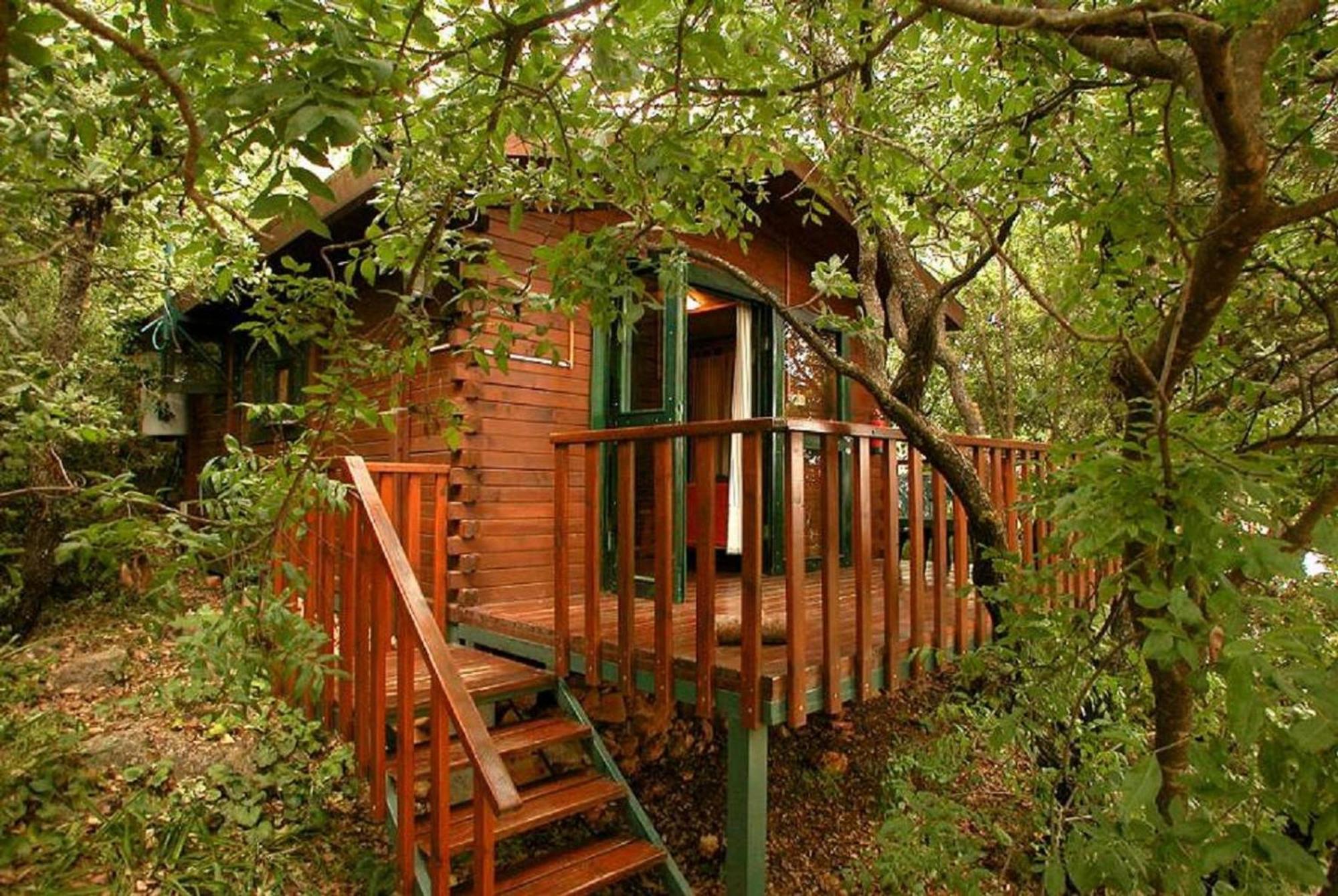 Eretz Hagalil - Land Of Galilee Guest House Amirim Exterior photo